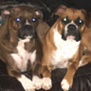 Meet your Posher, Marcie